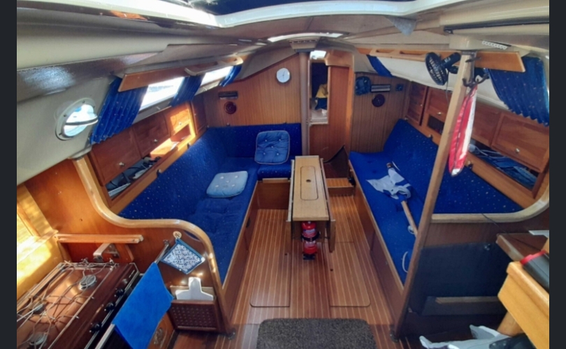 Dehler Muu malli-kuva-4